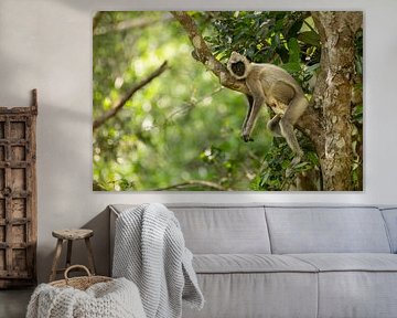 Der Wächter von Wilpattu