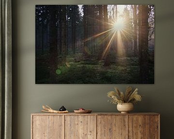 BEIMOORWALD von Olliventure