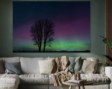 AURORA BOREALIS | Polarlichter