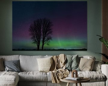 AURORA BOREALIS | Polarlichter von Olliventure