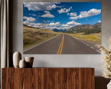 Endless roads in Yellowstone NP by Ilya Korzelius