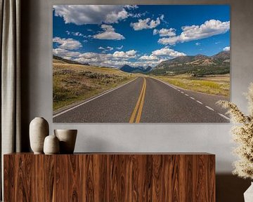 Endless roads in Yellowstone NP van Ilya Korzelius