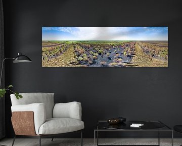 Deurnsche Peel after the forest fire in 360° from the air. by Paul Oostveen