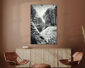 The Wijde Doelen from Zocherpark