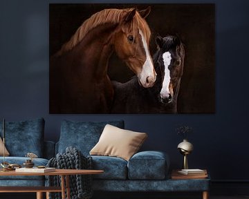 Horse and foal | Horse photography