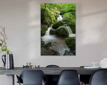 Chute d'eau dans la Forêt-Noire sur Anselm Ziegler Photography