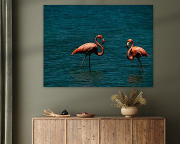 Karibische Flamingos in türkisfarbenem Lagunenwasser von Ines Porada