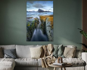 The flow by Roelie Steinmann