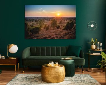 Wilseder Berg | Sunset in the Lüneburg Heath