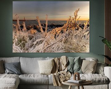 Frozen reeds and plants along the IJsselmeer at sunrise