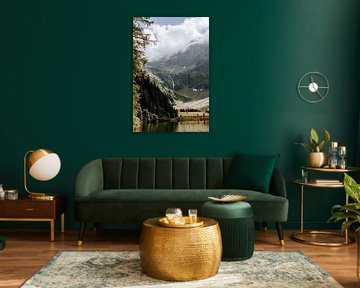 A mountain lake with forest, with rock and snow above it by Colinda Riemens