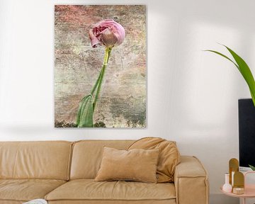 Spring fever – tulips in bliss by A perfect day studio