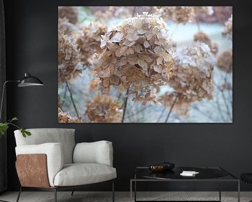 Winter landscape with the hydrangea by Ineke Huizing