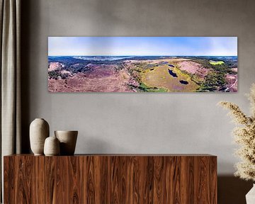 Flowering heath De Hamert, Maasduinen, in 360° from the air by Paul Oostveen