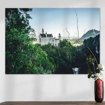 Waar dromen troonrijk zijn!