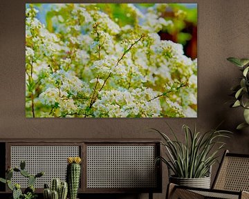 Weiße Turmspitzen blühen im Frühling in voller Pracht von Ivonne Fuhren-van de Kerkhof