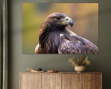 A portrait of a golden eagle by Teresa Bauer