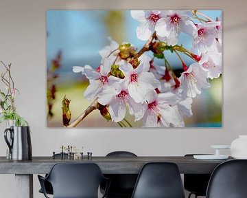 Japanische Blüten in pastellfarbenen Tönen von Ivonne Fuhren-van de Kerkhof