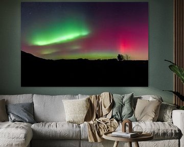 Luminous auroras over Upper Bavaria by Teresa Bauer