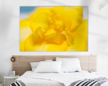 Gelbe Freesie in sanftem Licht von Ivonne Fuhren-van de Kerkhof