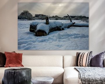 Stamm im Schnee von Marcel Jagt