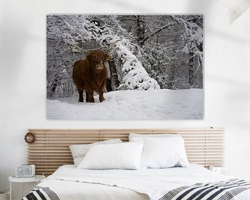 Highlander écossais dans la neige sur Marcel Jagt