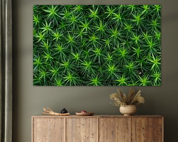 Abstract groen haarmos