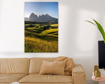 Alpe Di Siusi by Gunter Nuyts