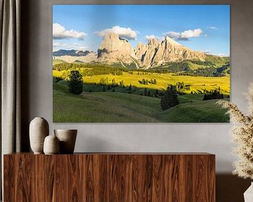 Alpe Di Siusi by Gunter Nuyts