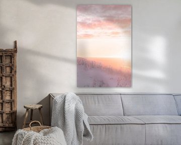 Zonsopgang en besneeuwde bomen | reisfotografie print | Lapland Finland