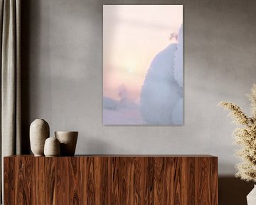 Close up van sneeuw met besneeuwde bomen | reisfotografie print | Saariselkä Lapland