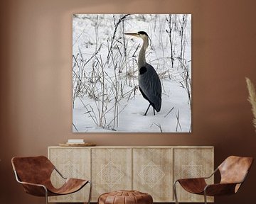Blue heron in the snow by Gea van der Veen-Smedeman