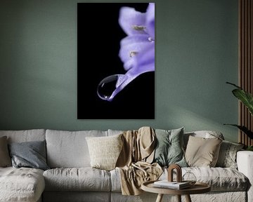 The Drop by Daniëlle de Ridder