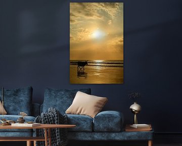 Kuh am Strand bei Sonnenuntergang in Gambia von Renzo de Jonge