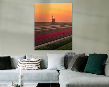 Sunrise over the Tulip Fields - Mill and Colour in the Dutch Landscape by Ewold Kooistra