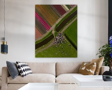 Tulip fields and cows - Geometry of the Dutch Landscape by Ewold Kooistra