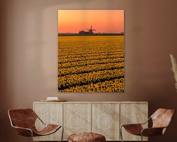 Cornwerder Mill at Sunrise - Yellow Tulips and Dutch Silence, Cornwerd by Ewold Kooistra