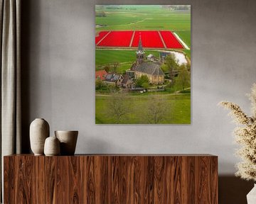 Schettens and the Tulip Fields - Frisian Village between Colour and Landscape by Ewold Kooistra