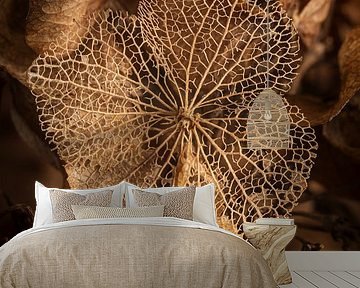 Warm peace: Transient fragile beauty by Marjolijn van den Berg