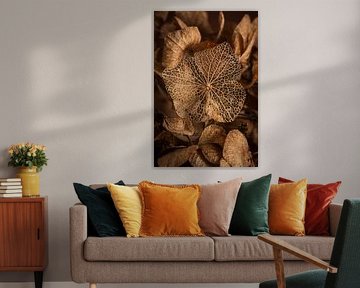 Warm peace: Transient fragile beauty by Marjolijn van den Berg