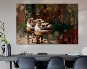 Zwei Katzen, die gemeinsam die Sonne genießen von Fenja Jon-Blaauw - Studio Foek