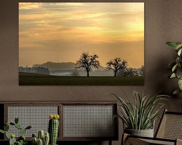 Sonnenuntergang im Allgäu von Dieter Walther