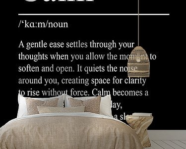 Aperçu de la chambre