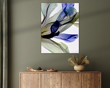 Matched lines - The fingerprint of leaves by Christine de Vogel