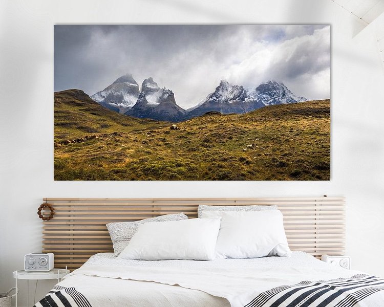 Aperçu de la chambre