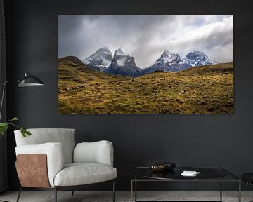 Torres del Paine von Gunter Nuyts