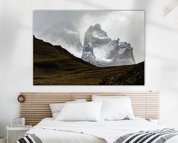 Torres del Paine von Gunter Nuyts