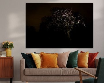 Nightblossom by Alain Léon