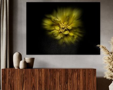 Blumen im Hinterhof Nr. 41 Farbfluss Version