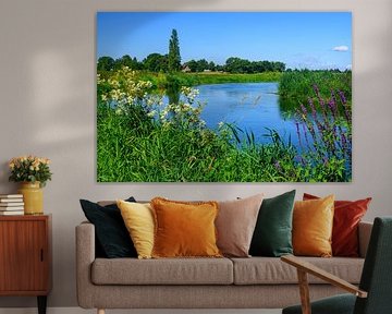 Niers d'été : Exposition de fleurs sur la rivière